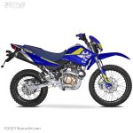 موتور سیکلت کویر T2 250