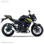 موتور سیکلت کاوازاکی Z 250 (نیوفیس)